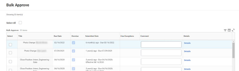 screenshot of the Bulk Approve screen in Workday