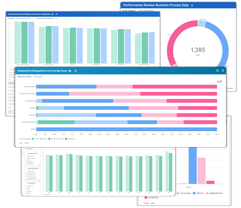 custom reports intro short