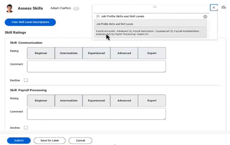 talent skills assessment