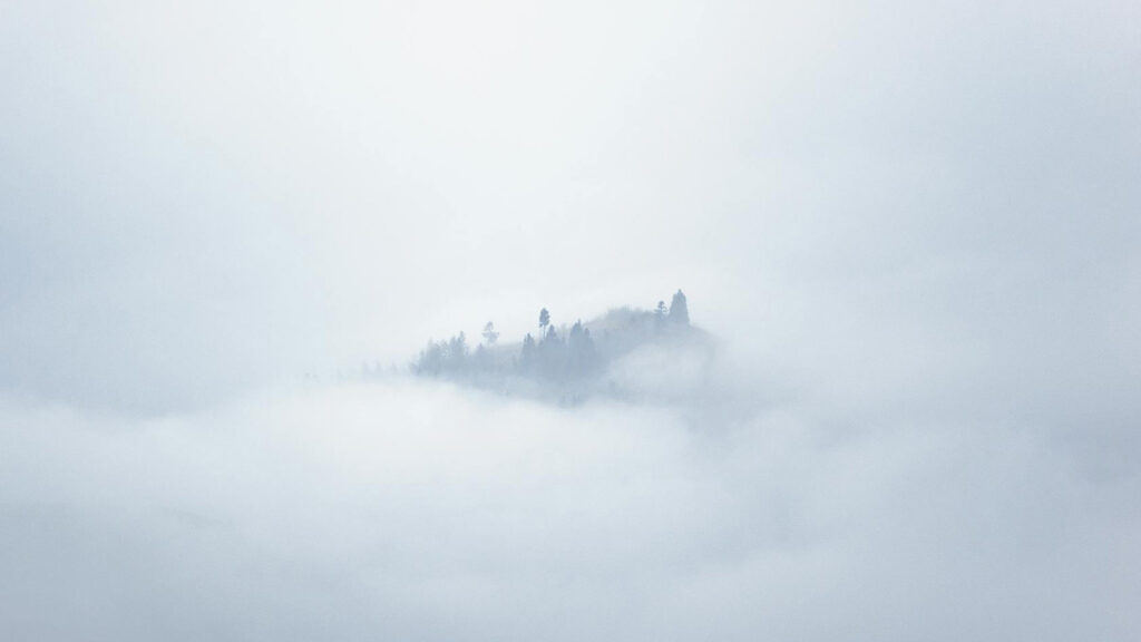 feature image 1200px