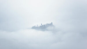 Demystifying Change Management for Workday Projects